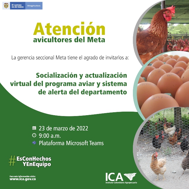Pieza-Atencion-avicultores-del-Meta.jpg Pieza-Atencion-avicultores-del-Meta.jpg