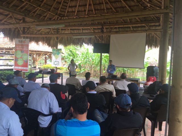 Agroempresarios del Quindío trabajan para implementar las Buenas Prácticas Agrícolas 