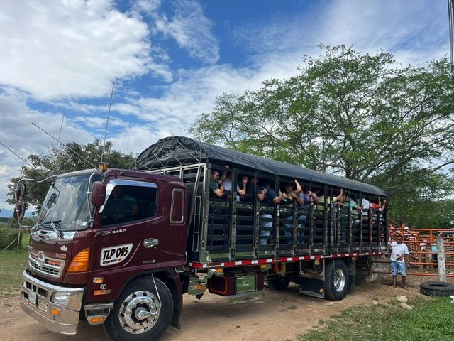 Casanare, departamento ganadero: 140 transportadores de animales en pie certificados en bienestar animal