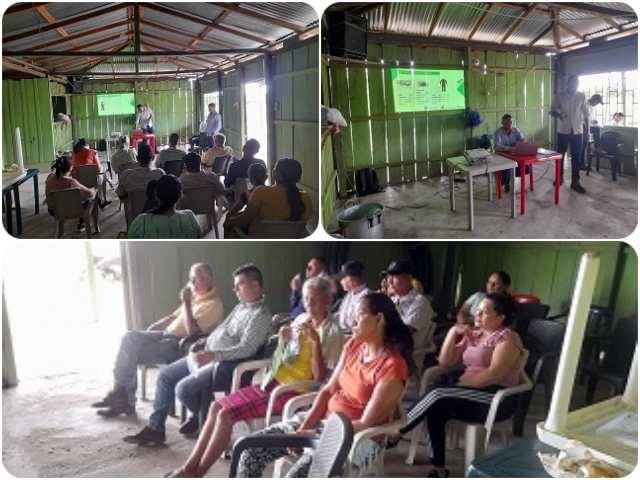 Productores de palma de aceite de Bolívar trabajan con el ICA para fortalecer sus cultivos 