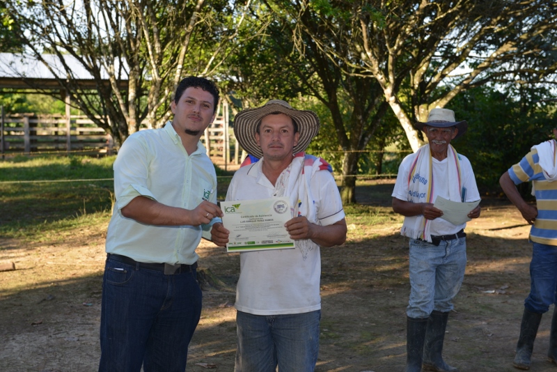 FOTOS-carlos-puentes-m-(436)-(800x534).jpg