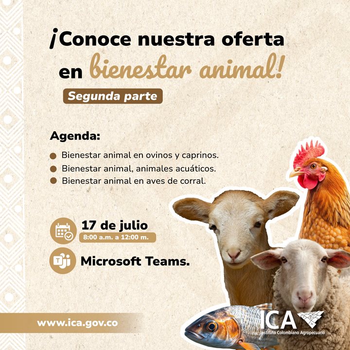 oferta-BA-segunda-parte.jpeg