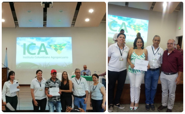 Predios productores de mora, café, piña y aguacate recibieron certificación en BPA, en el Valle del Cauca