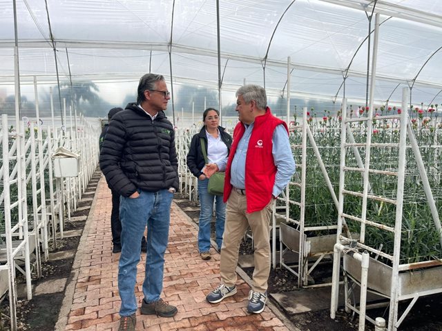 Visita predio productor de nuevas variedades de claveles