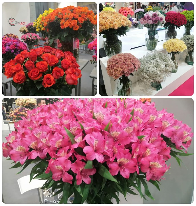 ICA-PROFLORA-COLLAGE-051023.jpg