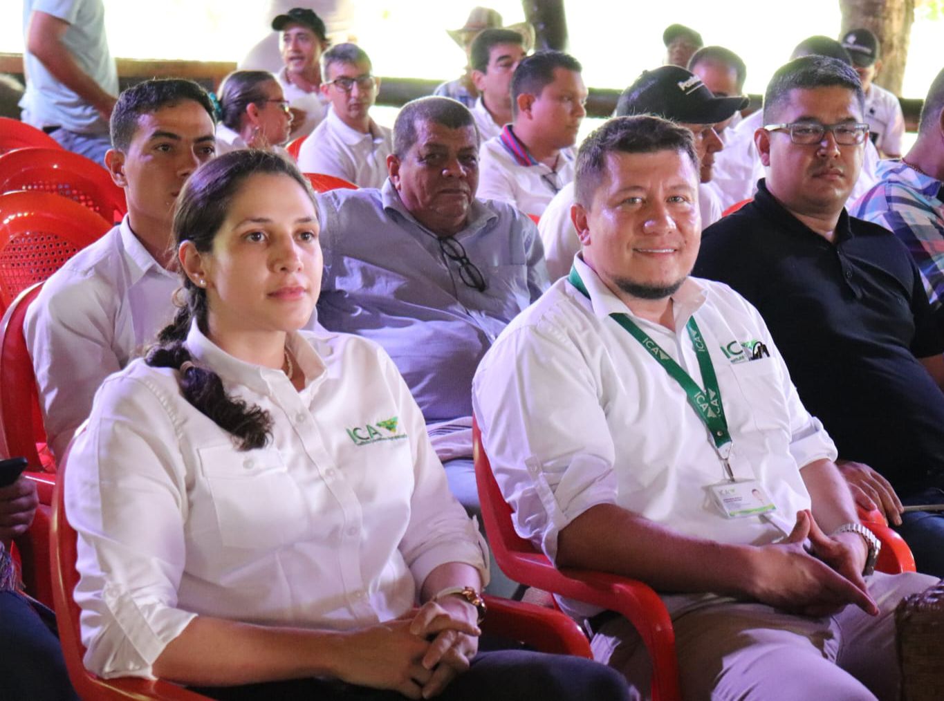 ICA-CARIBE.jpeg