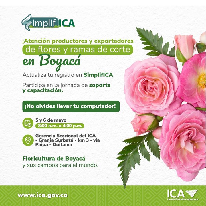 FLORES-Y-RAMAS-DE-CORTE-BOYACA.jpeg