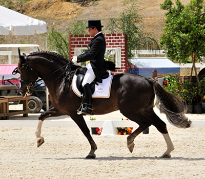 El Pasaporte Equino  para más de 3300 caballos deportistas