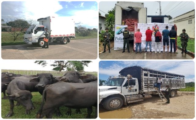 En agosto, acciones operativas del CIIIP han dejado más de $640 millones en productos agropecuarios incautados en zona de frontera