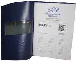pasaporte-3.jpg pasaporte-3.jpg
