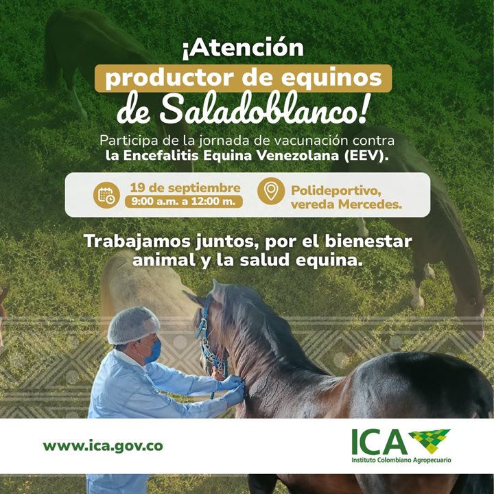 JORNADA-EQUINA-HUILA.jpeg