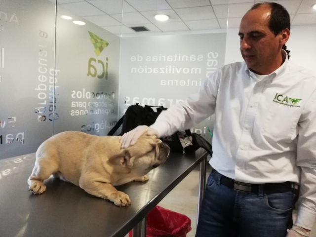 EEUU modificó temporalmente los requisitos sanitarios para el ingreso de perros procedentes de países con riesgo de rabia