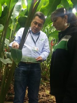 Tecnico-ICA-Valle-(1).jpg