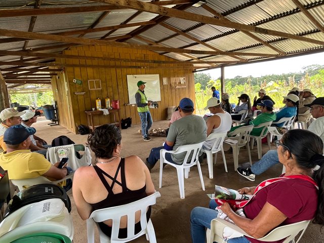 Productores de cacao del Guaviare son capacitados en buenas prácticas agrícolas 