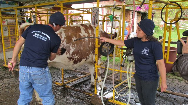 Foto-ICA-Capacitacion-en-bienestar-animal.jpg