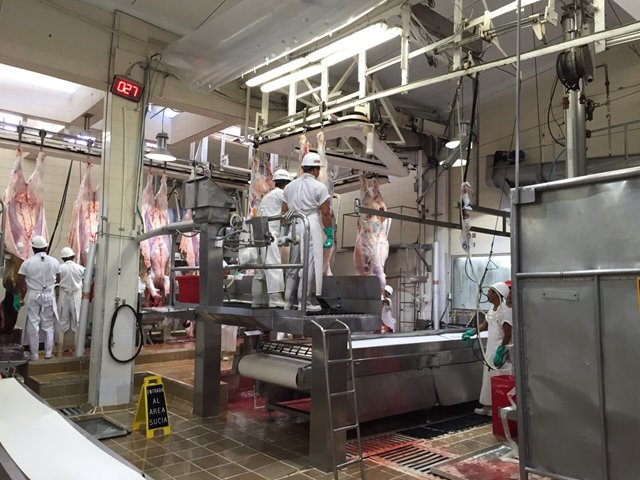 Autoridad sanitarias de los Estados Unidos, verifica  sistemas de producción y sacrificio de bovinos en Colombia