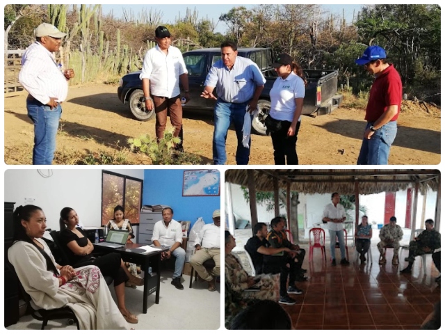 El ICA continúa implementando acciones de seguimiento contra la fiebre aftosa en La Guajira