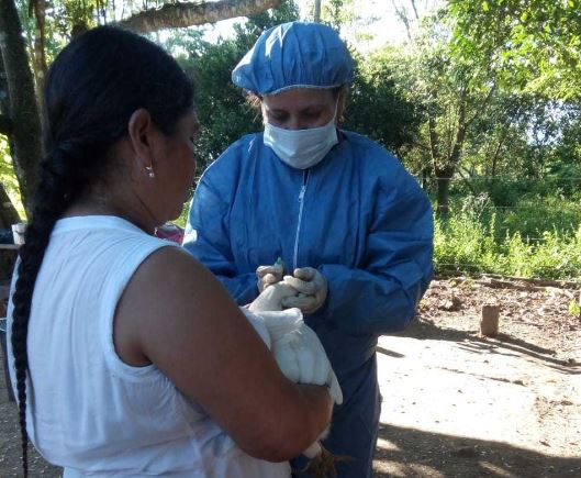 El ICA atiende y controla foco de Newcastle de alta virulencia en Yopal