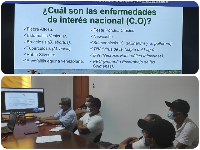 capacitación virtual.