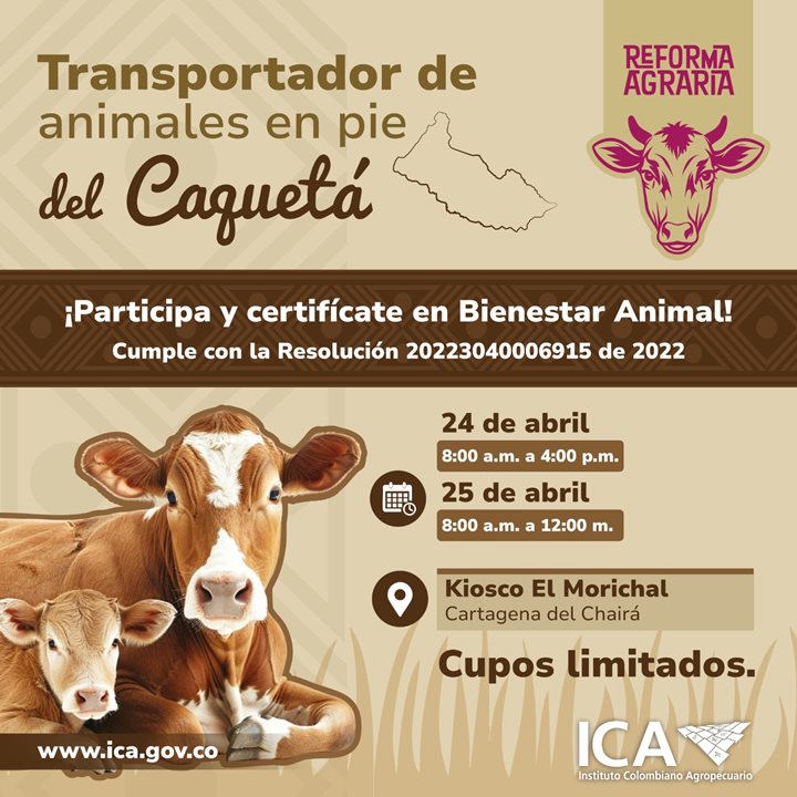 CAQUETA-TRANSPORTADORES.jpeg