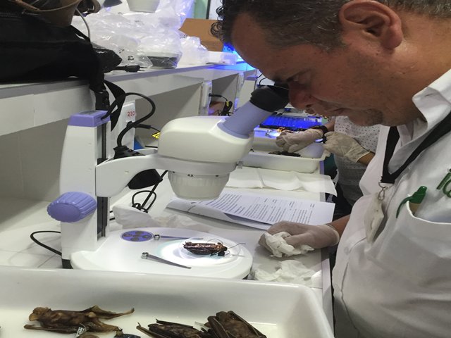 Colombia y Brasil realizaron taller sobre rabia de origen silvestre en la frontera