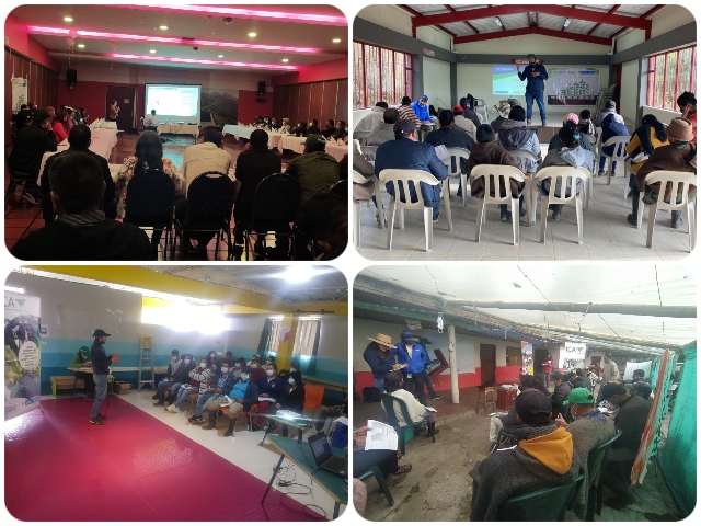 El ICA socializó las medidas fitosanitarias para proteger los cultivos de papa de Nariño