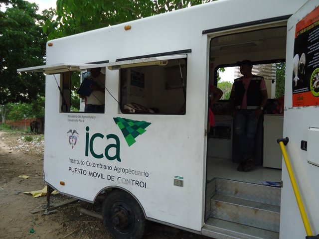 El ICA  mantiene vigilancia y monitoreo  en la movilización de animales en el Departamento de la Guajira.