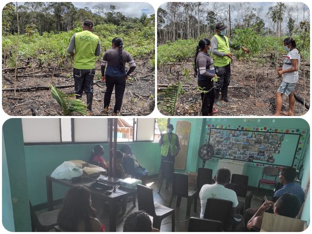 El ICA en Guainía realizó evento de comunicación del riesgo en el uso y manejo adecuado de insumos agrícolas en cultivos del departamento