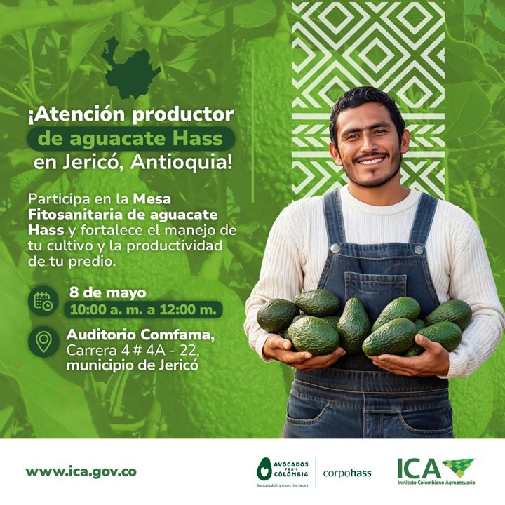 JERICO-MESAFITOSANITARIA-AGUACATEHASS.jpeg