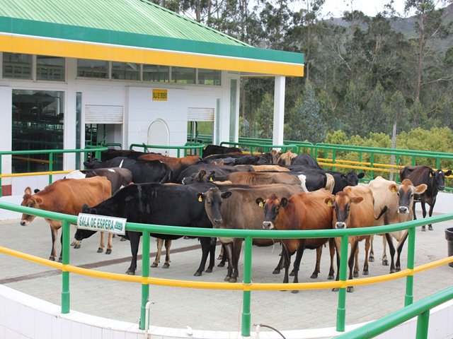 En Casanare, 114 personas fueron capacitadas en temas sanitarios y fitosanitarios