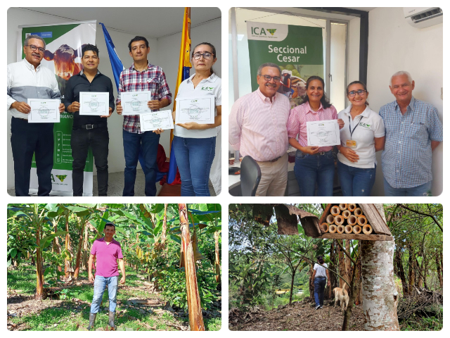 Cesar sigue sumando predios certificados en buenas prácticas agrícolas