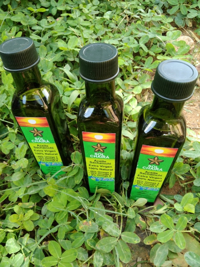 Foto-ICA-Entrega-de-certificados-en-BPA-a-productores-de-aceite-de-Sachainchi-1.jpg Foto-ICA-Entrega-de-certificados-en-BPA-a-productores-de-aceite-de-Sachainchi-1.jpg