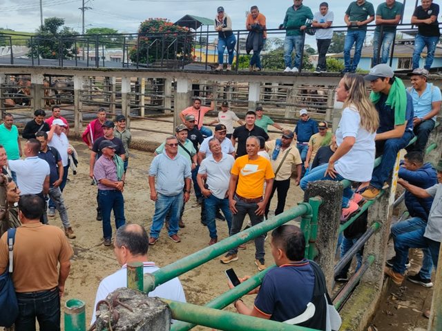 El ICA realiza por primera vez en el Cauca el Curso de Bienestar Animal para transportadores de animales en pie