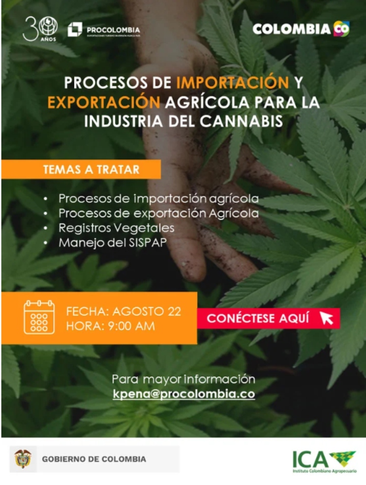 Promocional-Cannabis.jpg Promocional-Cannabis.jpg