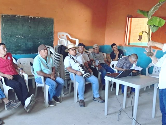 Comunidades indígenas de Riosucio, Caldas, fortalecen capacidades en producción de plátano 