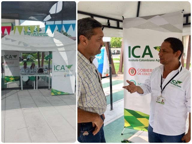 El ICA apoya el emprendimiento de los algodoneros tolimenses