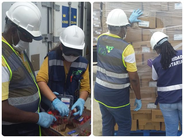En San Andrés, el ICA inspecciona las importaciones para proteger la sanidad de la producción agropecuaria nacional