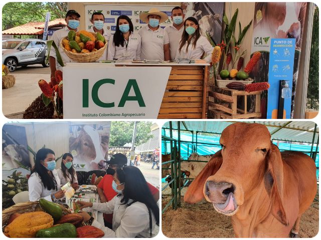 Feria ganadera de Bucaramanga