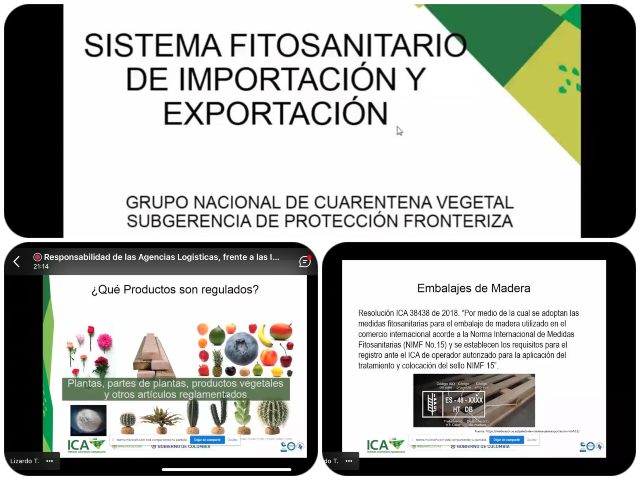 El ICA le apuesta a la eficiencia en los procesos de importación y exportación de productos vegetales