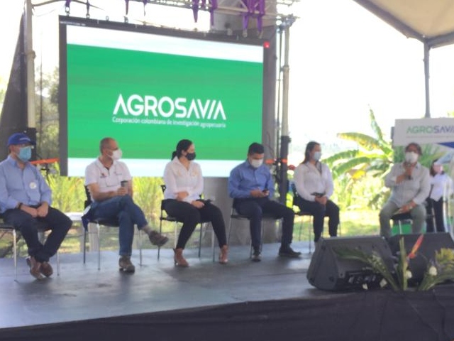 Alianza ICA – AGROSAVIA, 35 años de trabajo en la Hoya del Río Suárez 
