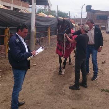Productores equinos en Sogamoso cumplen con normatividad del ICA 