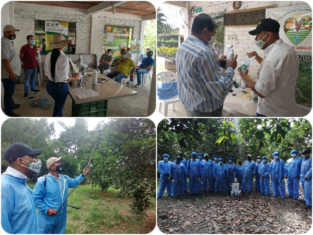 Entrega de bioinsumos en el Valle del Cauca.