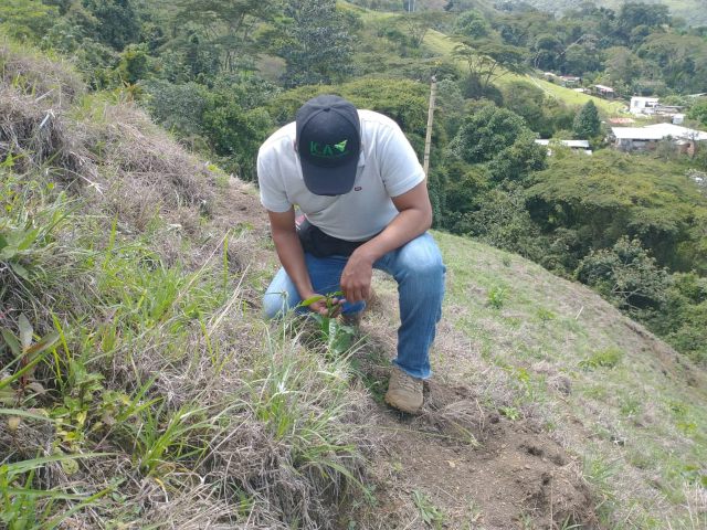 Foto-ICA-Monitoreo-en-cultivos-de-cafe-del-Valle-del-Cauca-2.jpg Foto-ICA-Monitoreo-en-cultivos-de-cafe-del-Valle-del-Cauca-2.jpg