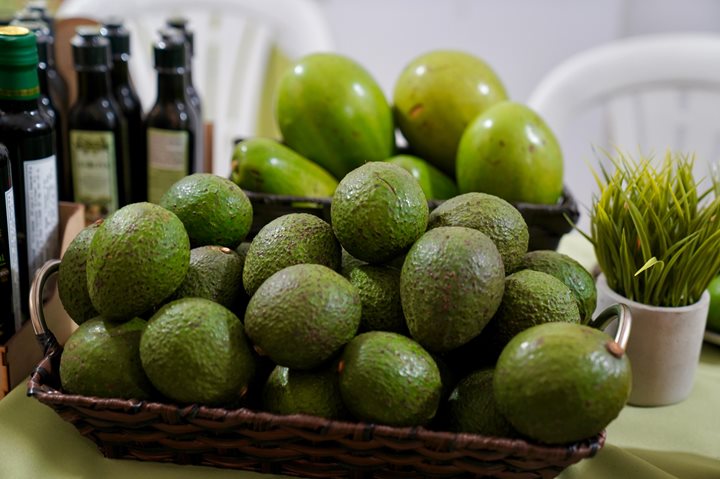 QUINDIO-ICA.JPG