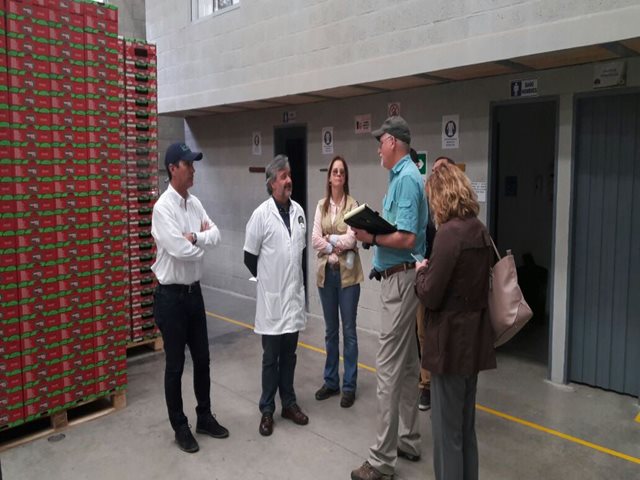 El ICA y USDA-APHIS visitan planta empacadora de aguacate Hass en Guarne, Antioquia