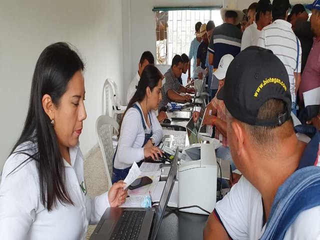 En Arauca, el ICA ha expedido más de 15.788 guías en lo corrido del año  