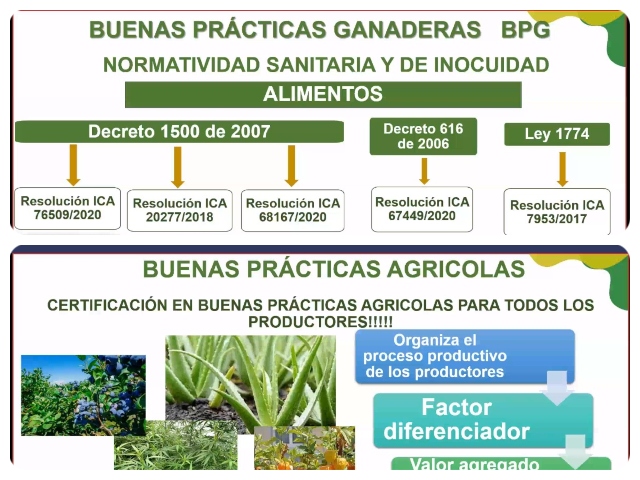 Funcionarios del ICA en rendición de cuentas.