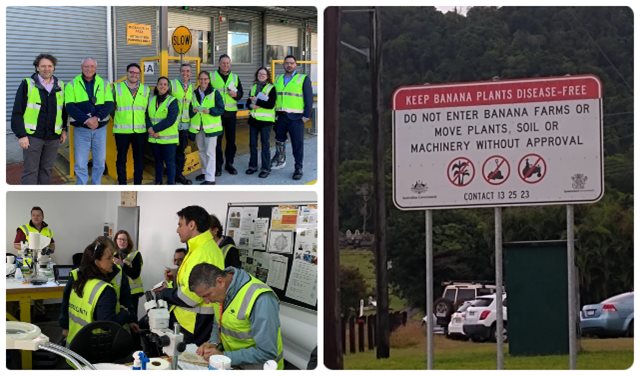 Equipo técnico del ICA y exportadores realizan visita a Australia para fortalecer el comercio de ornamentales 