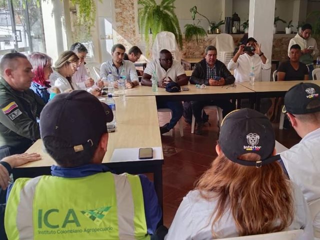 El ICA redobla esfuerzos en la frontera para proteger la cebolla colombiana y cumplir acuerdos con productores nacionales