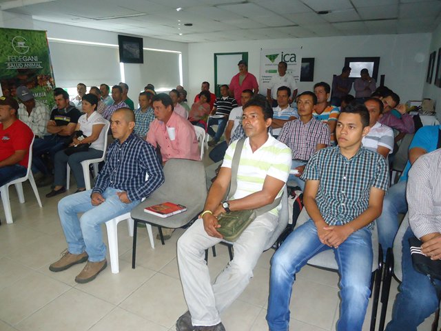 El ICA capacitó a vacunadores  de  Tolima  y Cundinamarca para ciclo de vacunación contra Fiebre Aftosa y Brucelosis bovina 